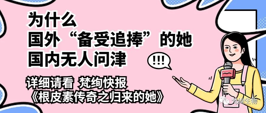 01 Blog