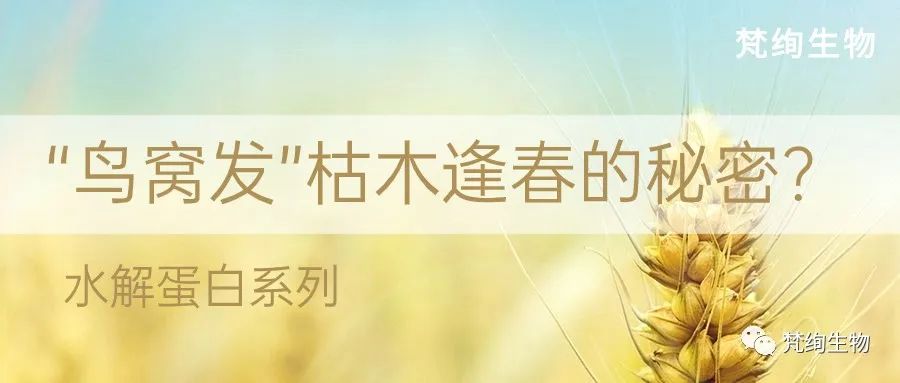 01 Blog