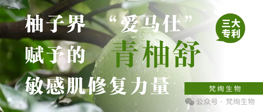 01 Blog