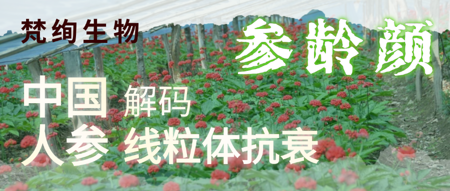 01 Blog