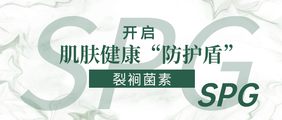 01 Blog
